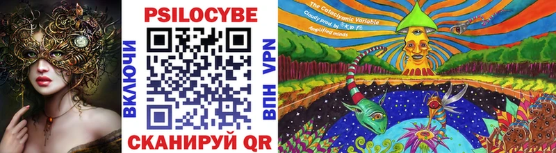 Псилоцибиновые грибы мицелий  где купить наркоту  Тогучин 